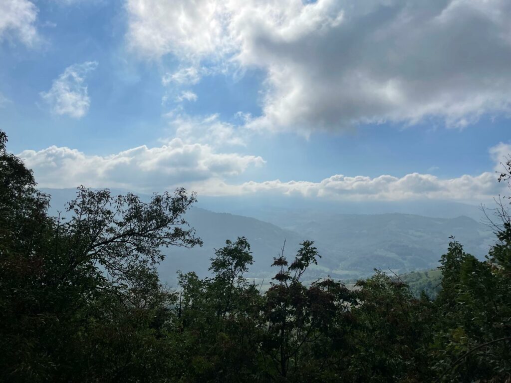 Il cielo oltre gli alberi di Sasso Guidano
