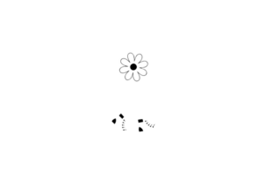Cammin Sentendo: non chiamatele “escursioni”