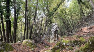 Sguardi d’Autunno